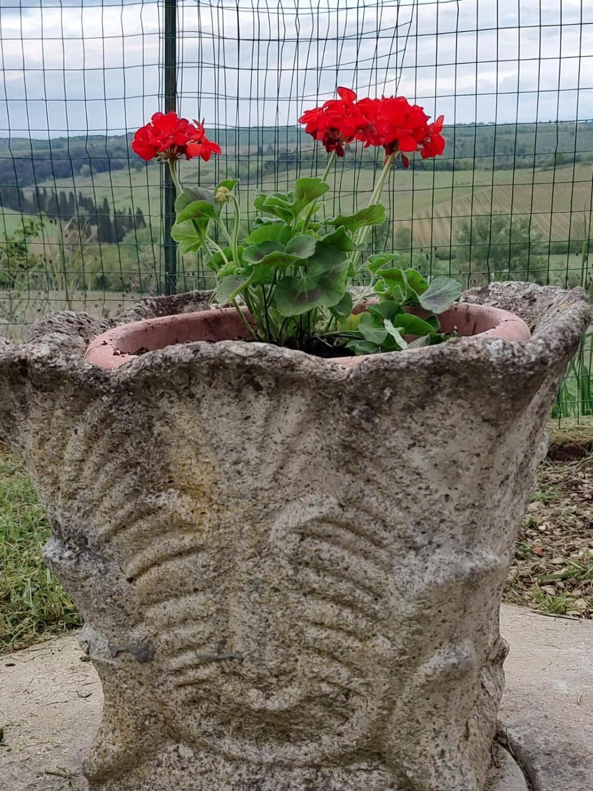 Il Giardino Del Chianti Διαμέρισμα Σιένα Εξωτερικό φωτογραφία