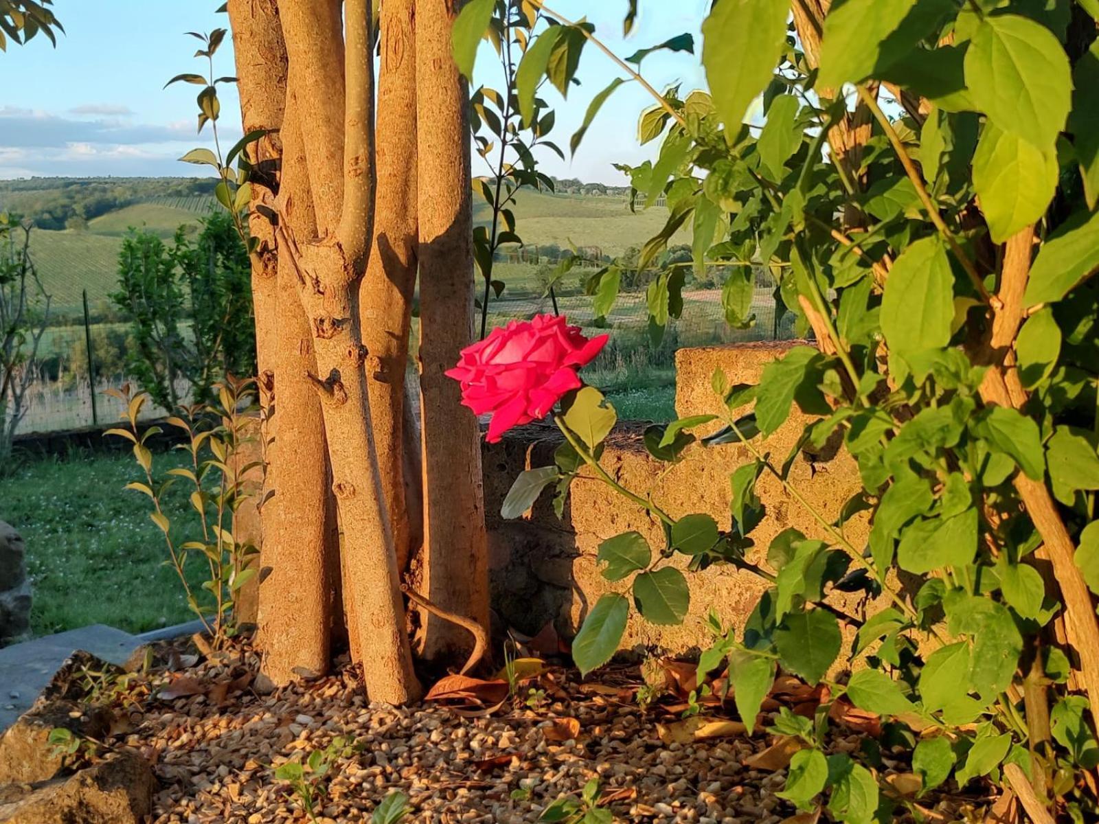 Il Giardino Del Chianti Διαμέρισμα Σιένα Εξωτερικό φωτογραφία
